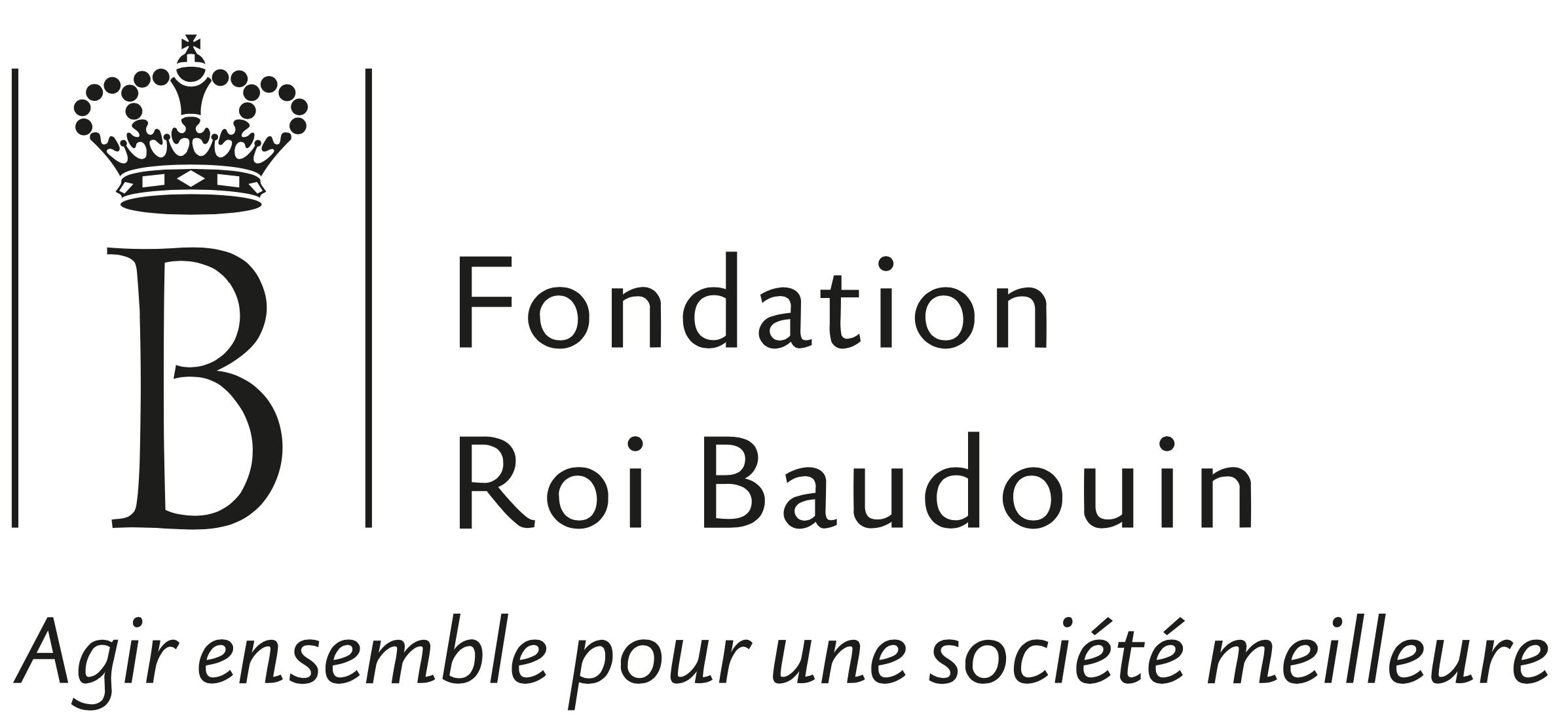 logo Fondation Roi Baudouin